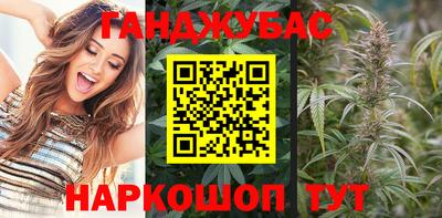 стаф Кулебаки