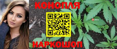 стаф Кулебаки