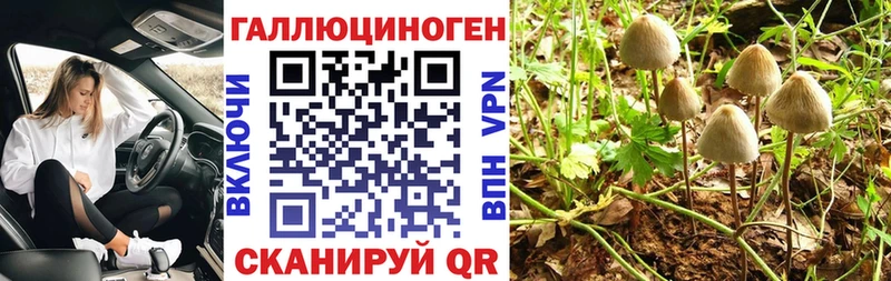 Псилоцибиновые грибы мухоморы  Светлоград 