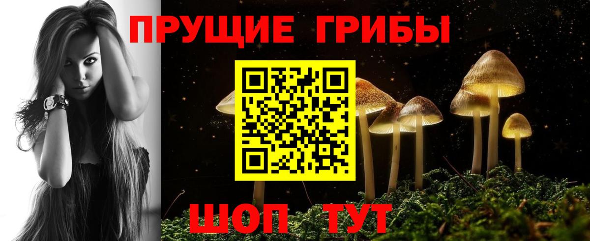 Галлюциногенные грибы прущие грибы  Вход с VPN  Светлоград 